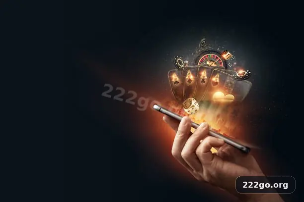222go imagem 1